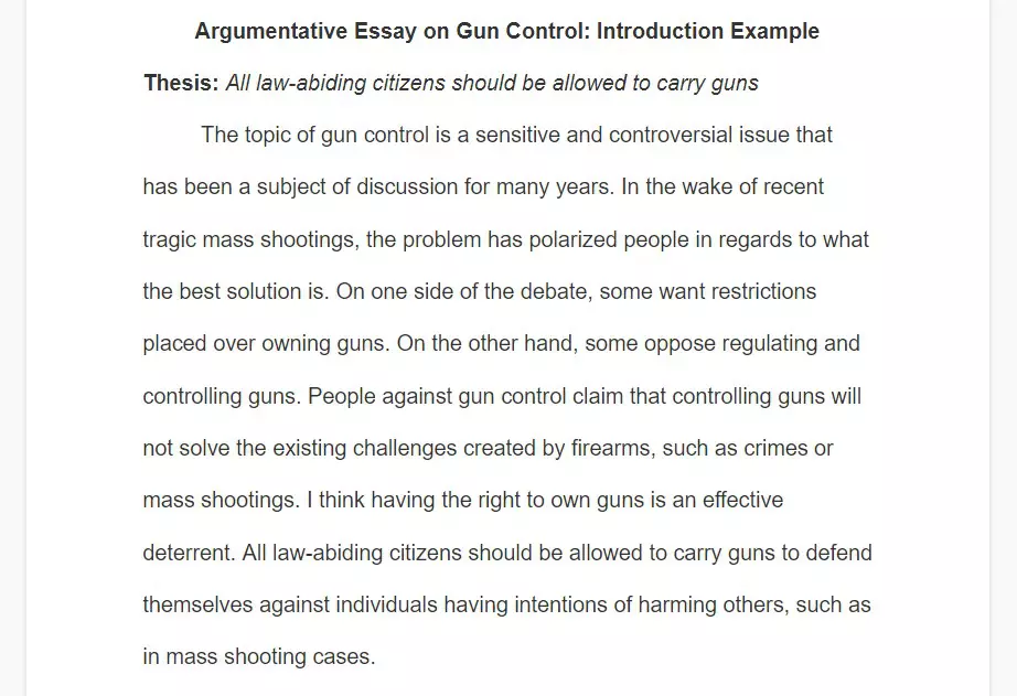 argumentative essay about gun control