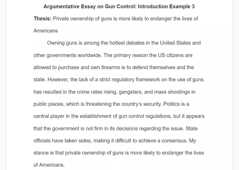 hook for essay about gun control