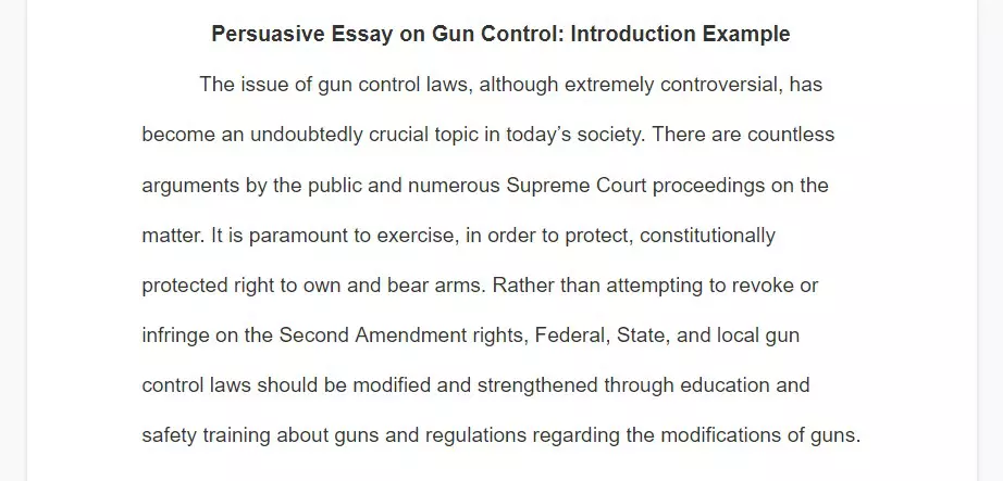 persuasive essay on gun control