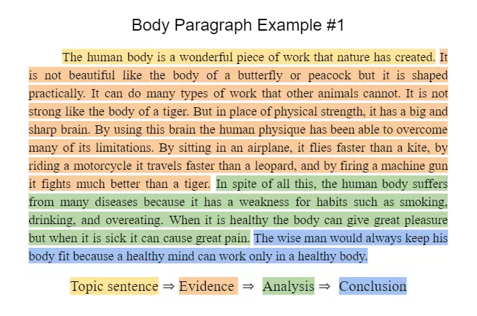 body paragraph example