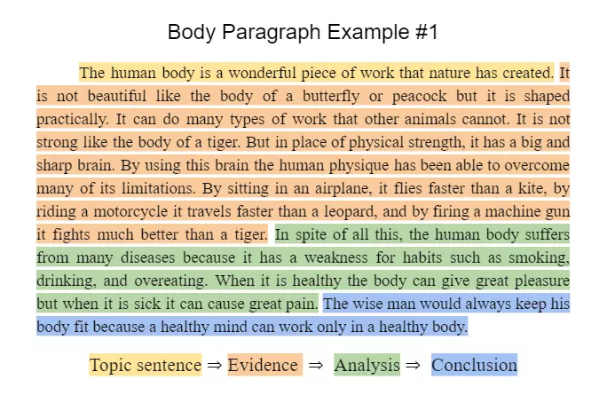 body paragraph essay structure