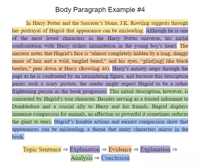 essay body paragraphs function